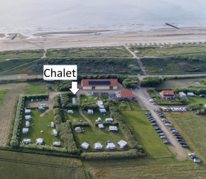 De Schelp